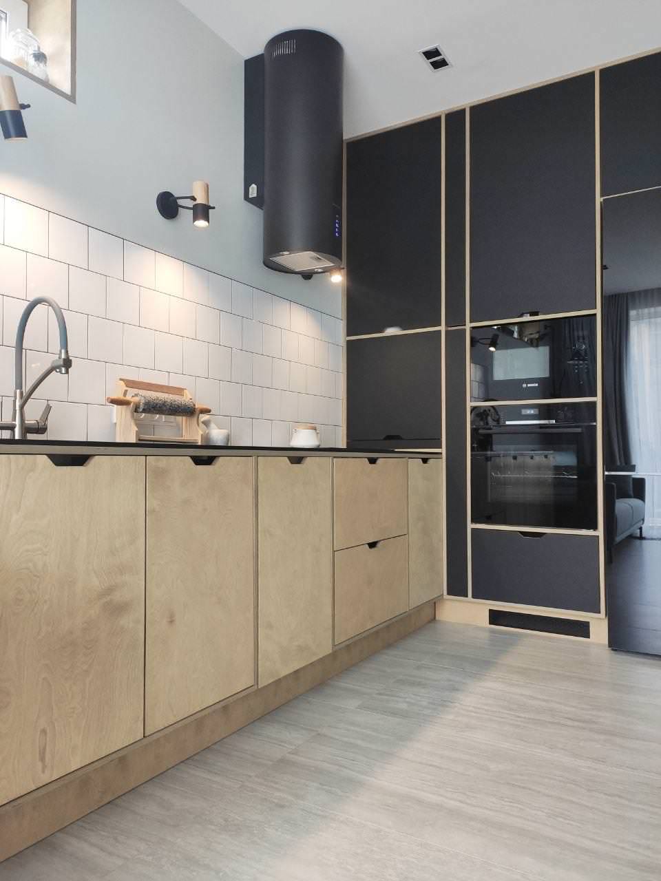 Кухня из фанеры и пластика FENIX