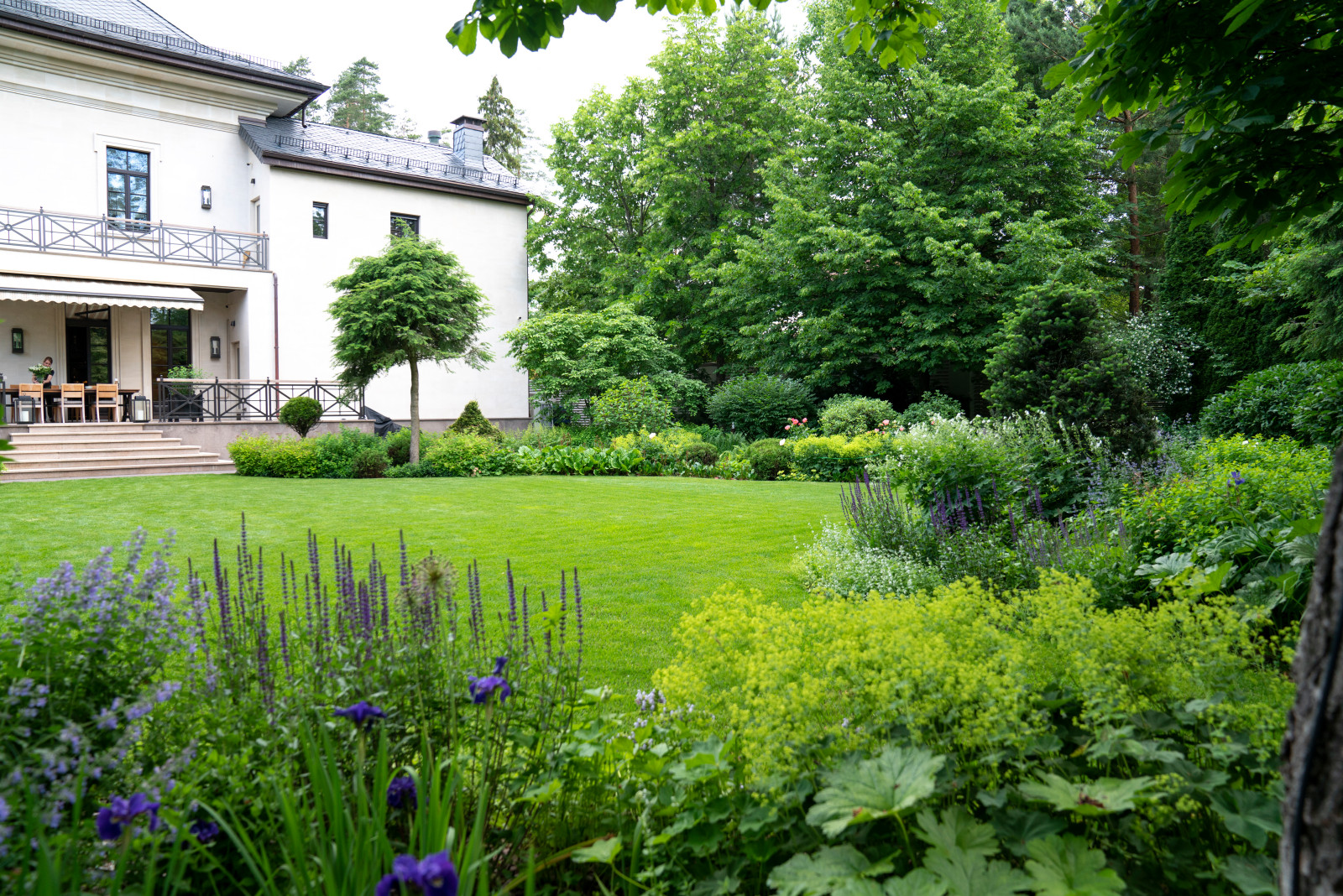 Очарование английского сада КП Балтия 2018 г