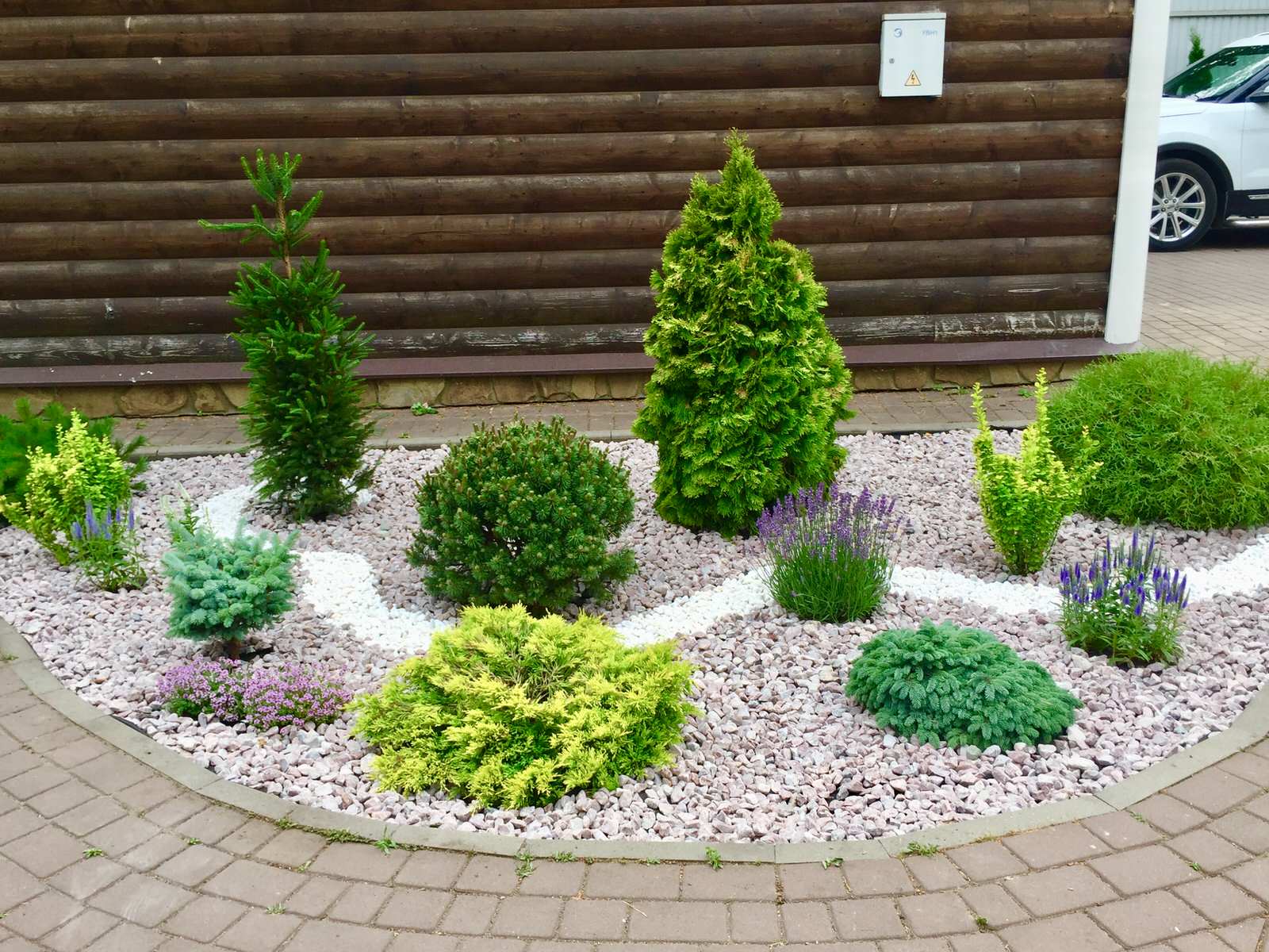 Обложка проекта: Проект Тригуляй