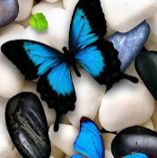 Елена Еланская