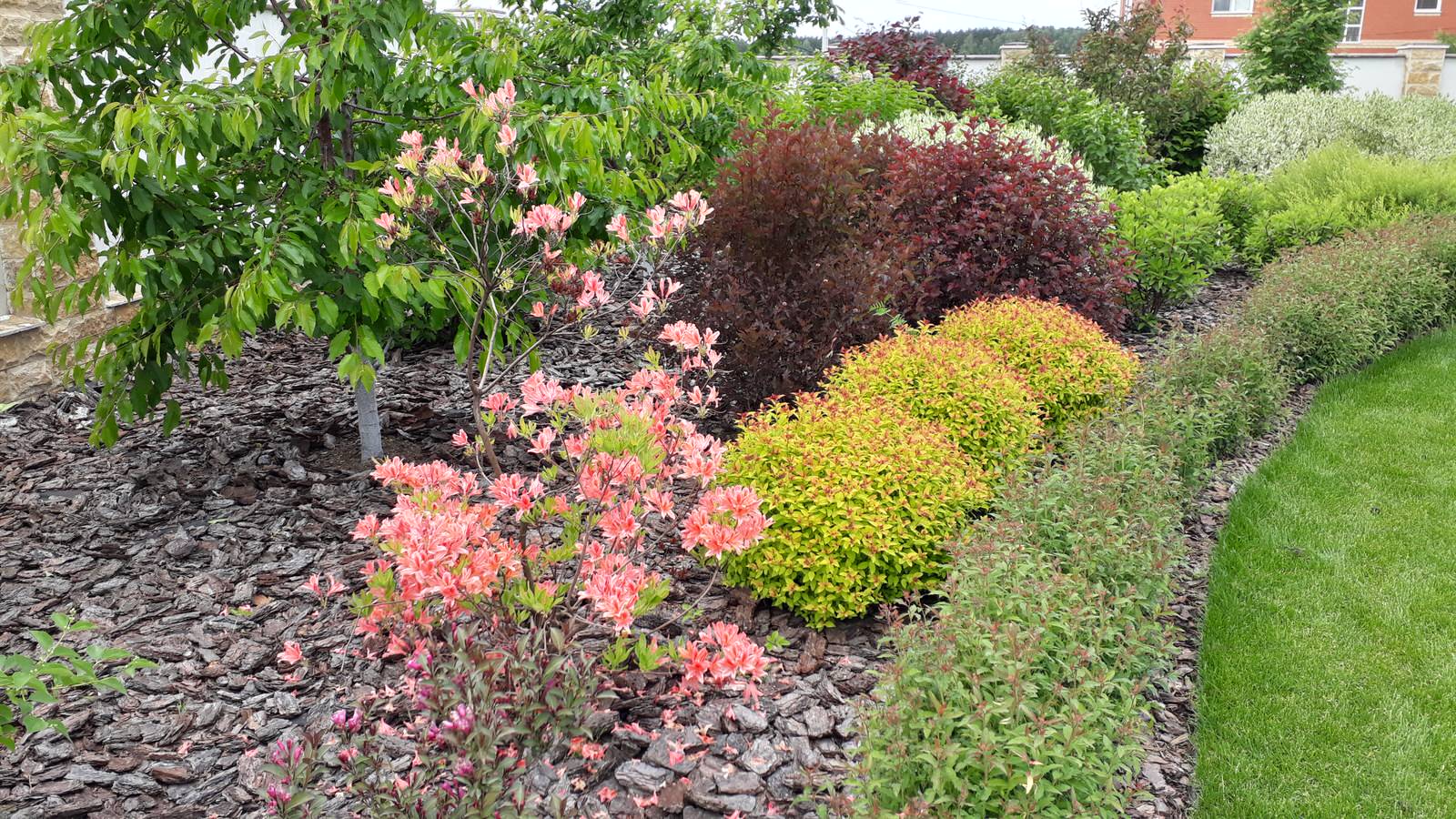 Обложка проекта: Сынково