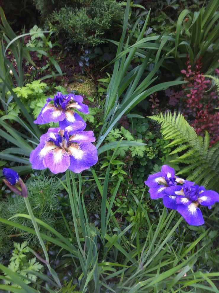 В гостях: Сад на выходные для родителей