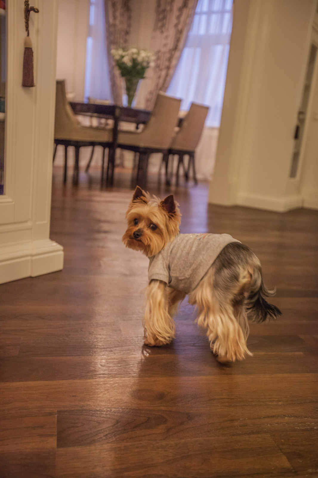 Квартира на Смоленской