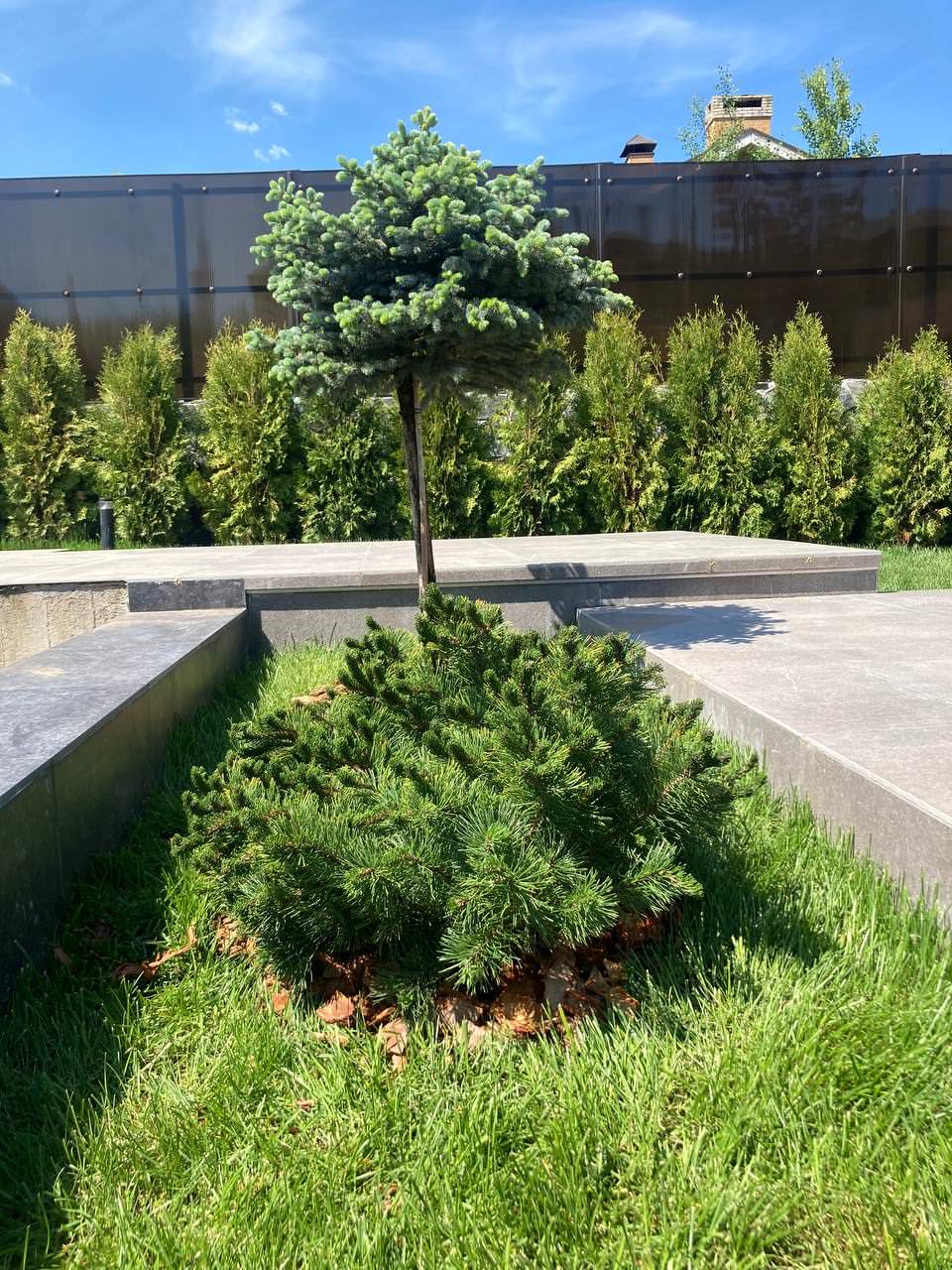 Минимализм