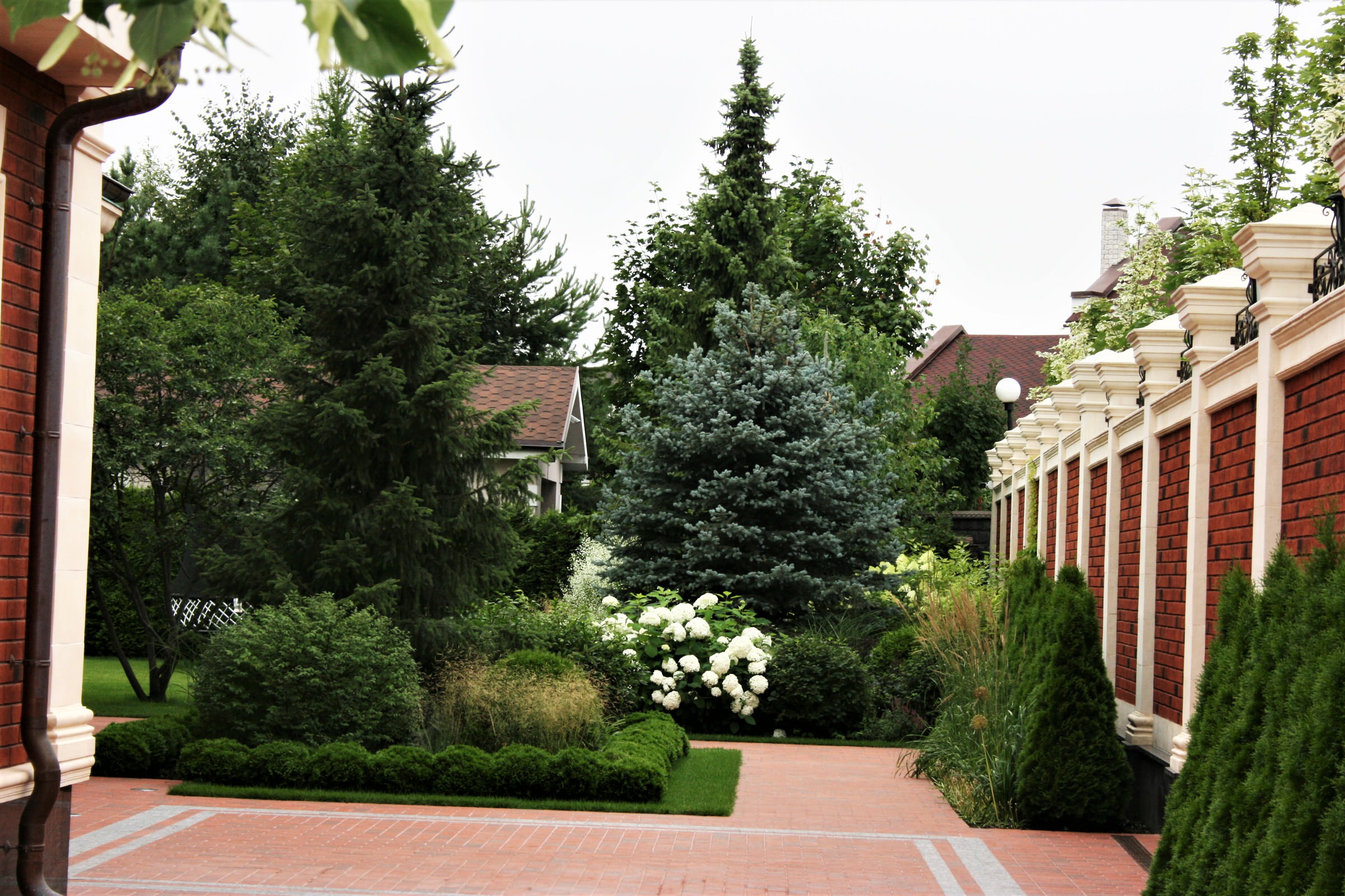 Сад с аурой