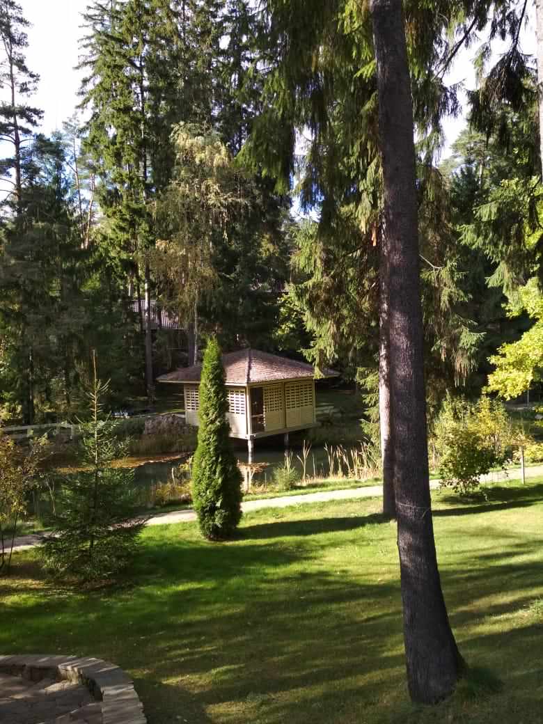 Сад с озером