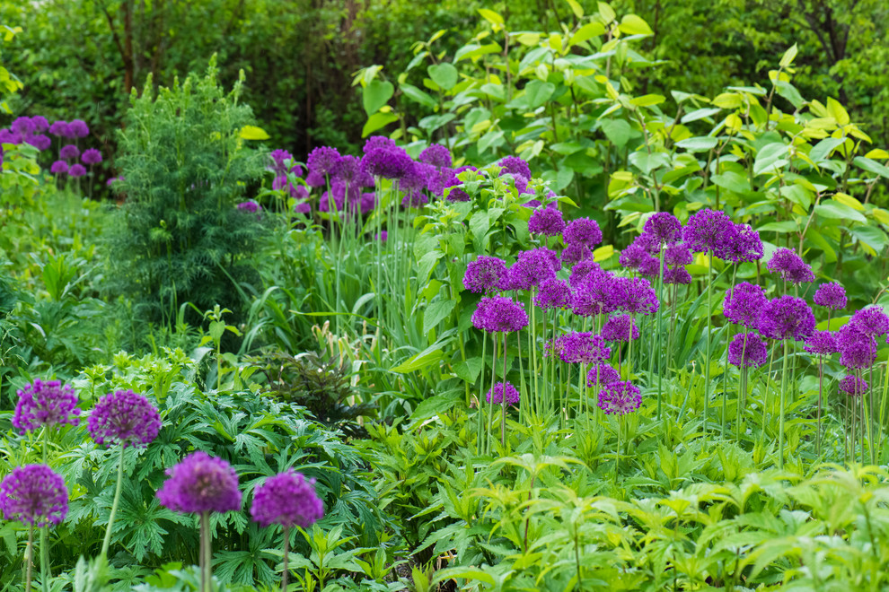 Большой сад в пригороде