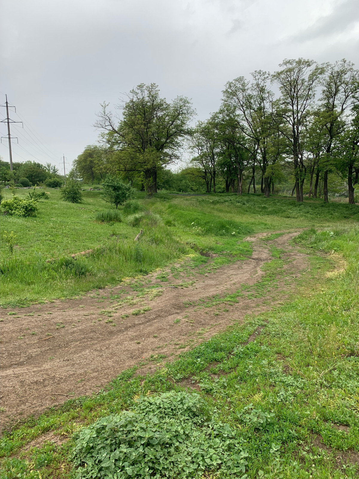 Баса отдыха. Кумжинской роща, берег Дона