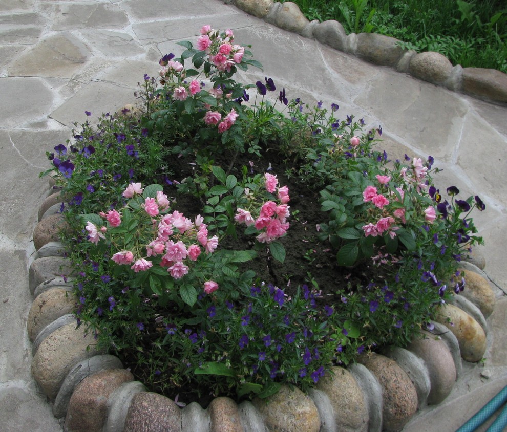 Обложка альбома: Сад.