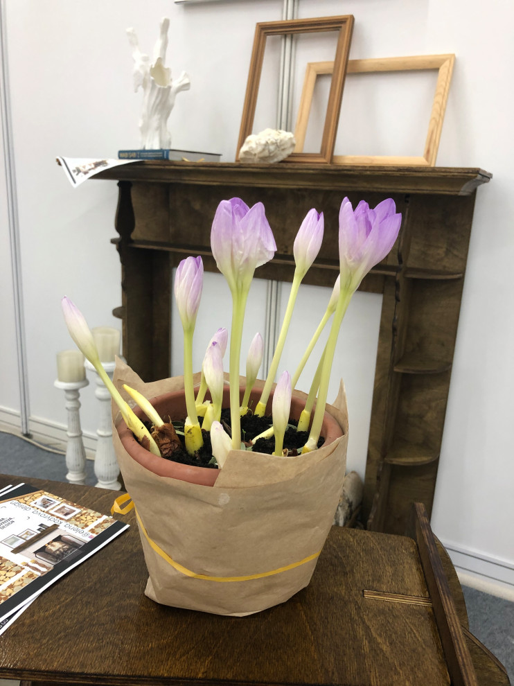 выставочный стенд