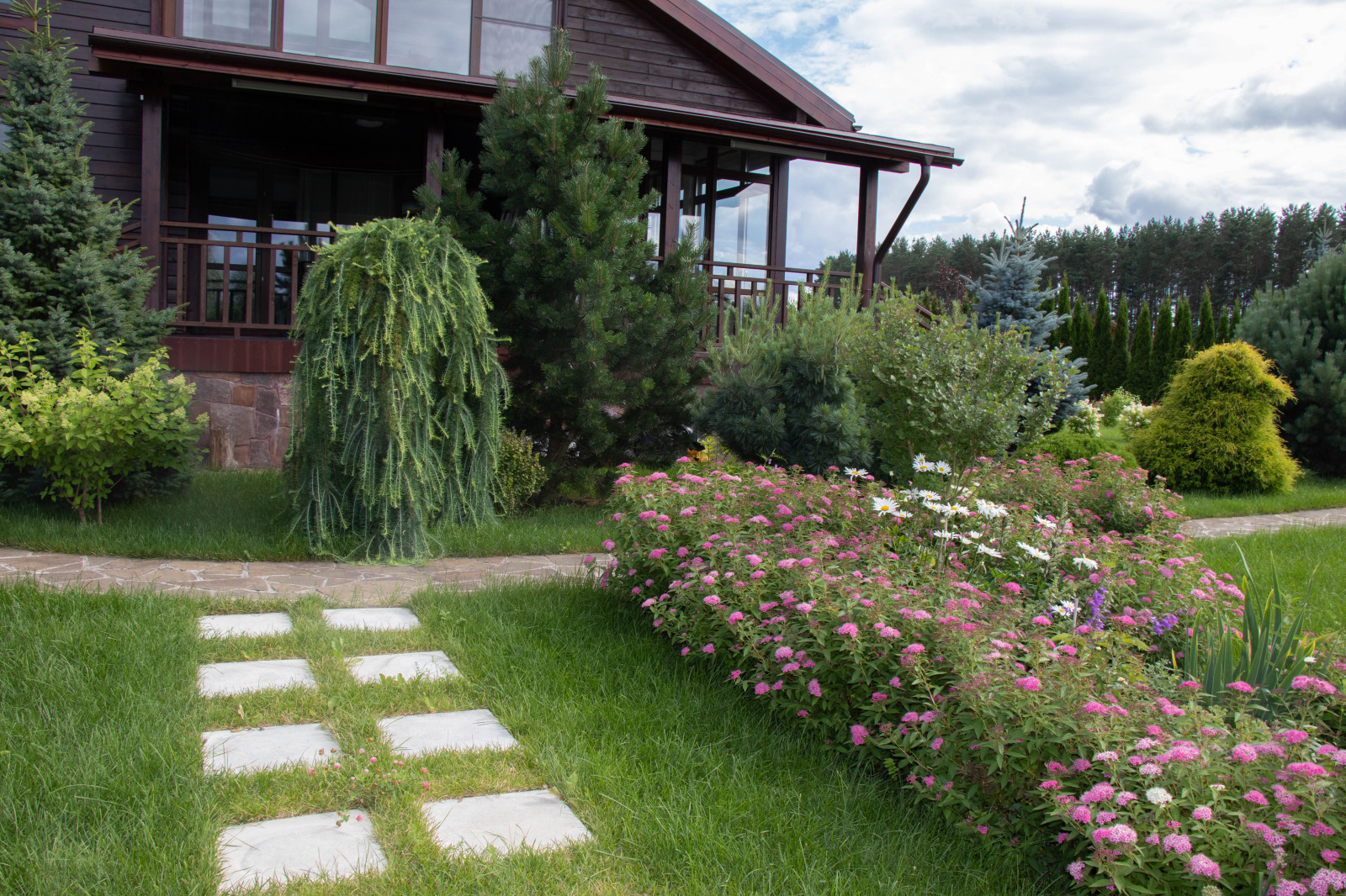 Сосновые берега