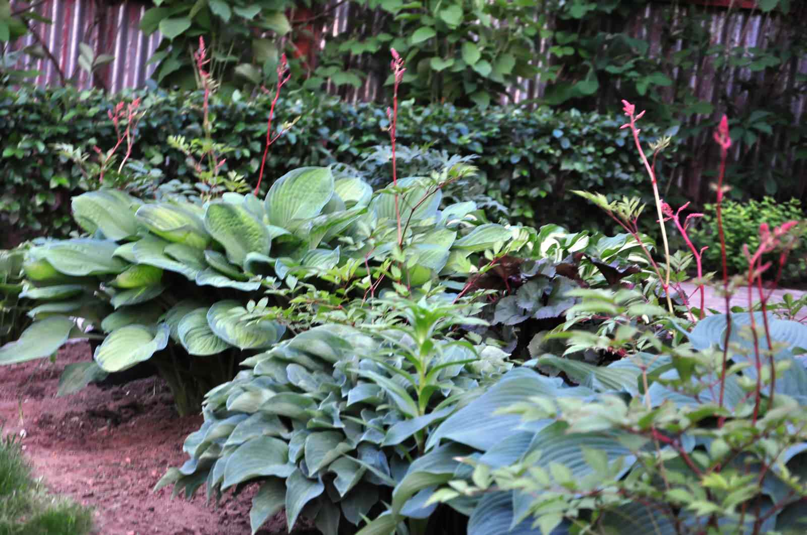 д. Громково - Уход за садом - 100% качество