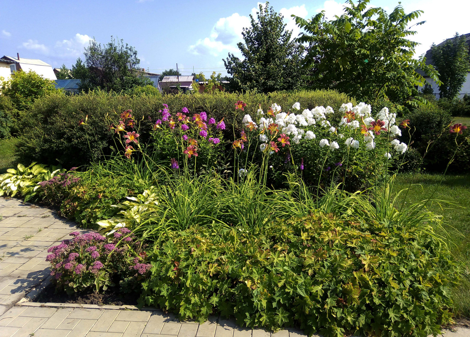 Цветник из многолетников