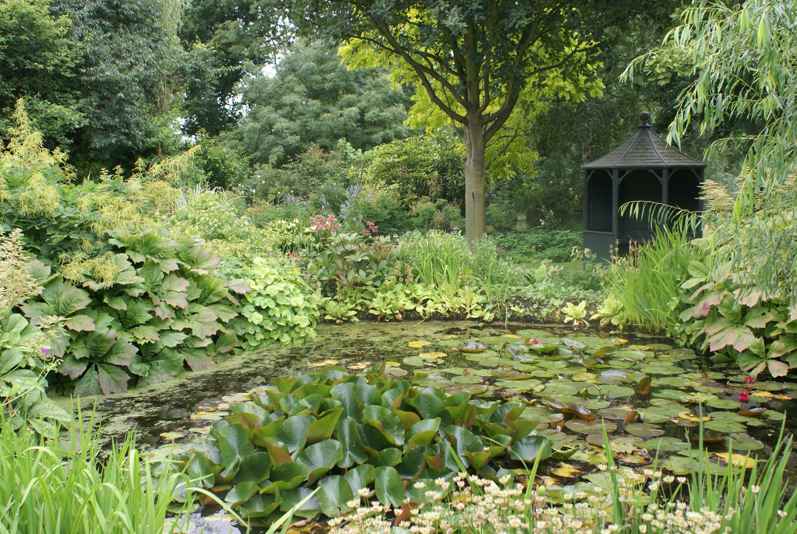 Миксбордер. Основные правила формирования цветочных композиций