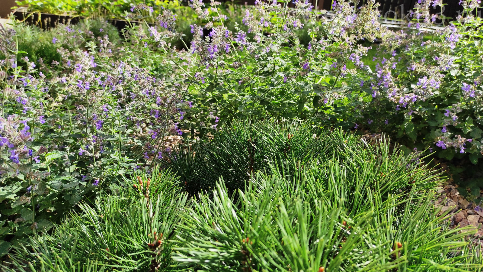 Объект 11 соток. Реализация 2020