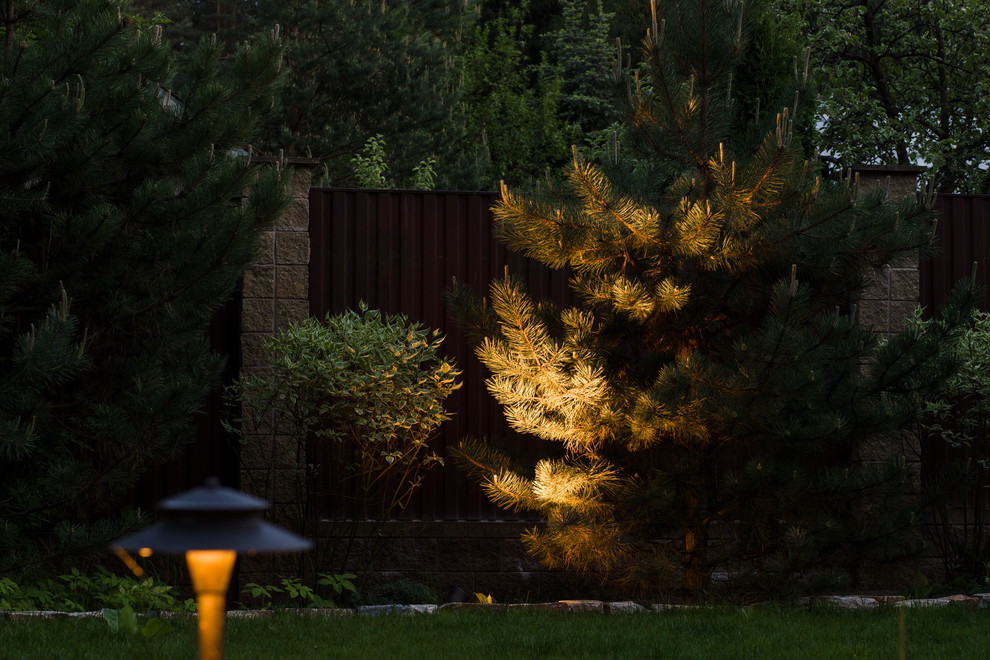 Подсветка елки