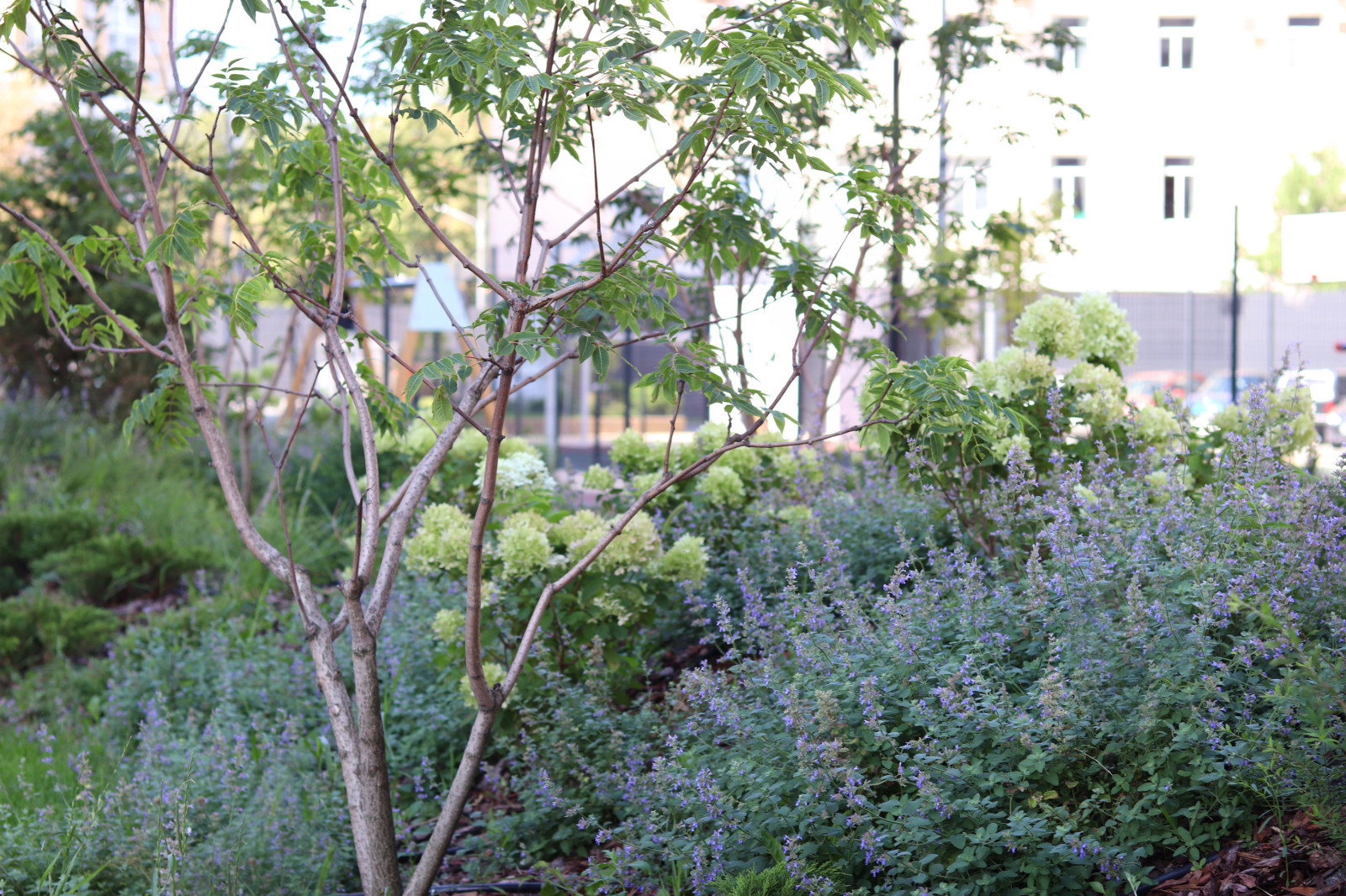 ЖК "Европейский"