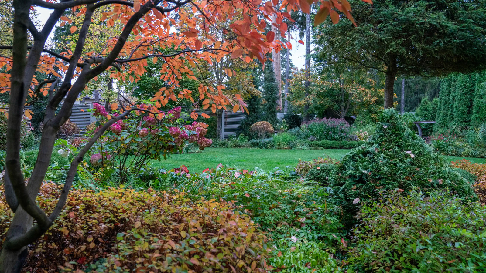 Очарование английского сада КП Балтия 2018 г