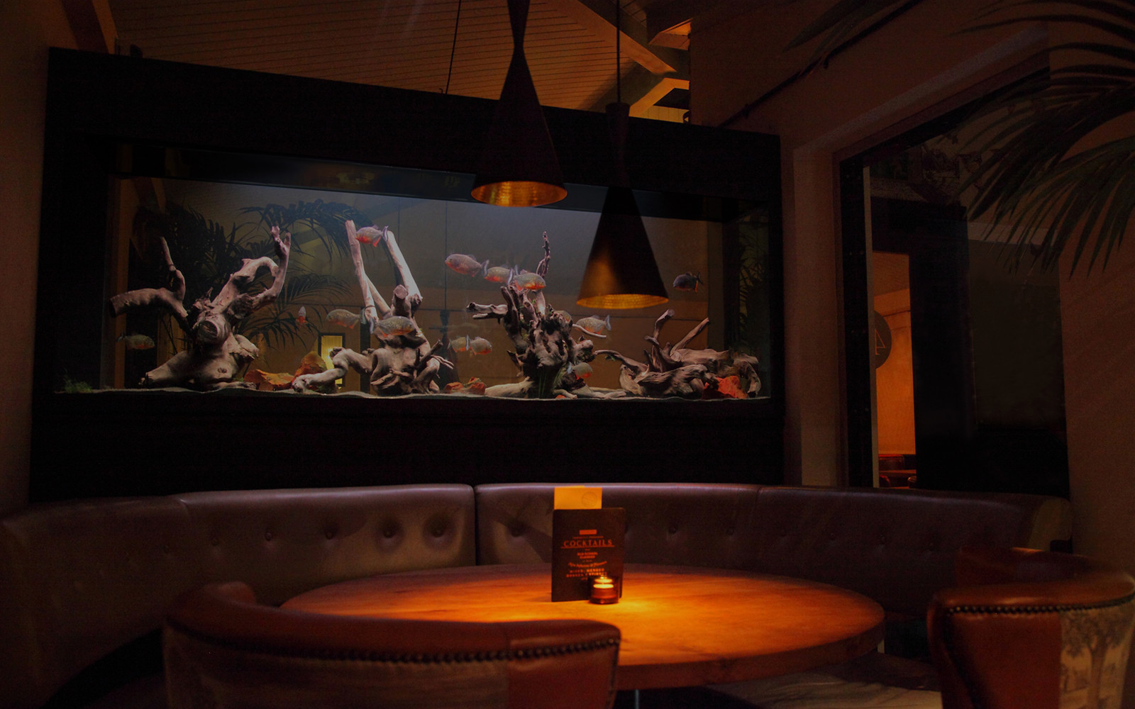 Водный мир: Как оформить аквариум внутри