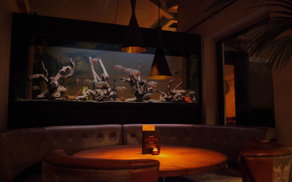 Водный мир: Как оформить аквариум внутри