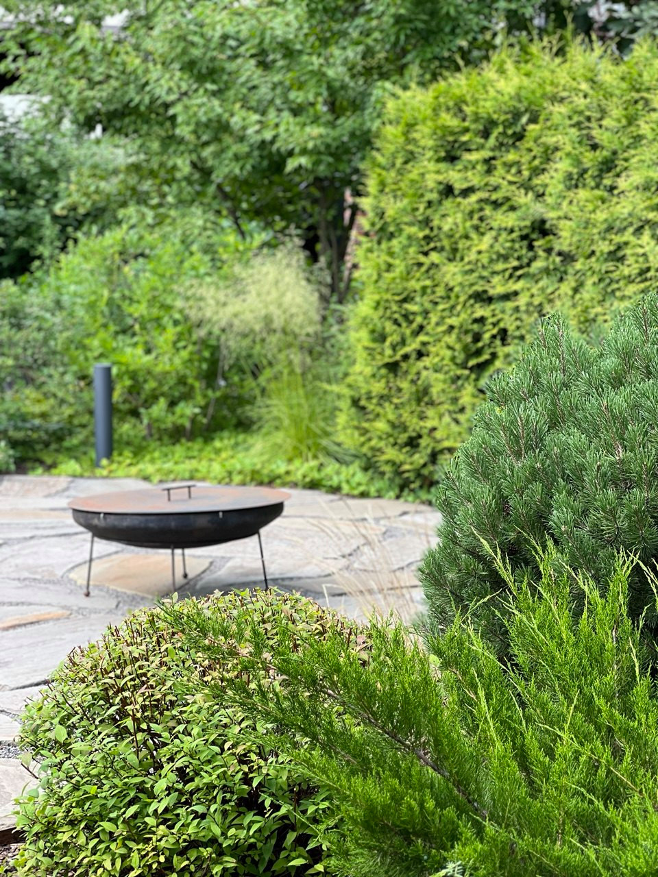 Английская история