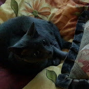 дмитрий лучанинов