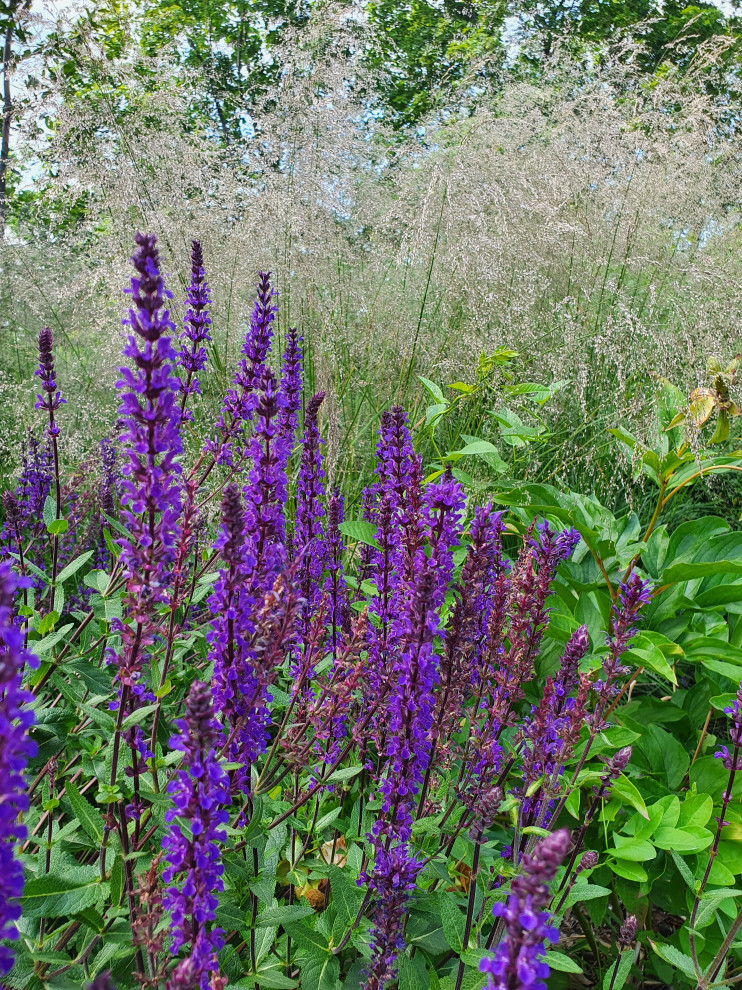 Частный сад