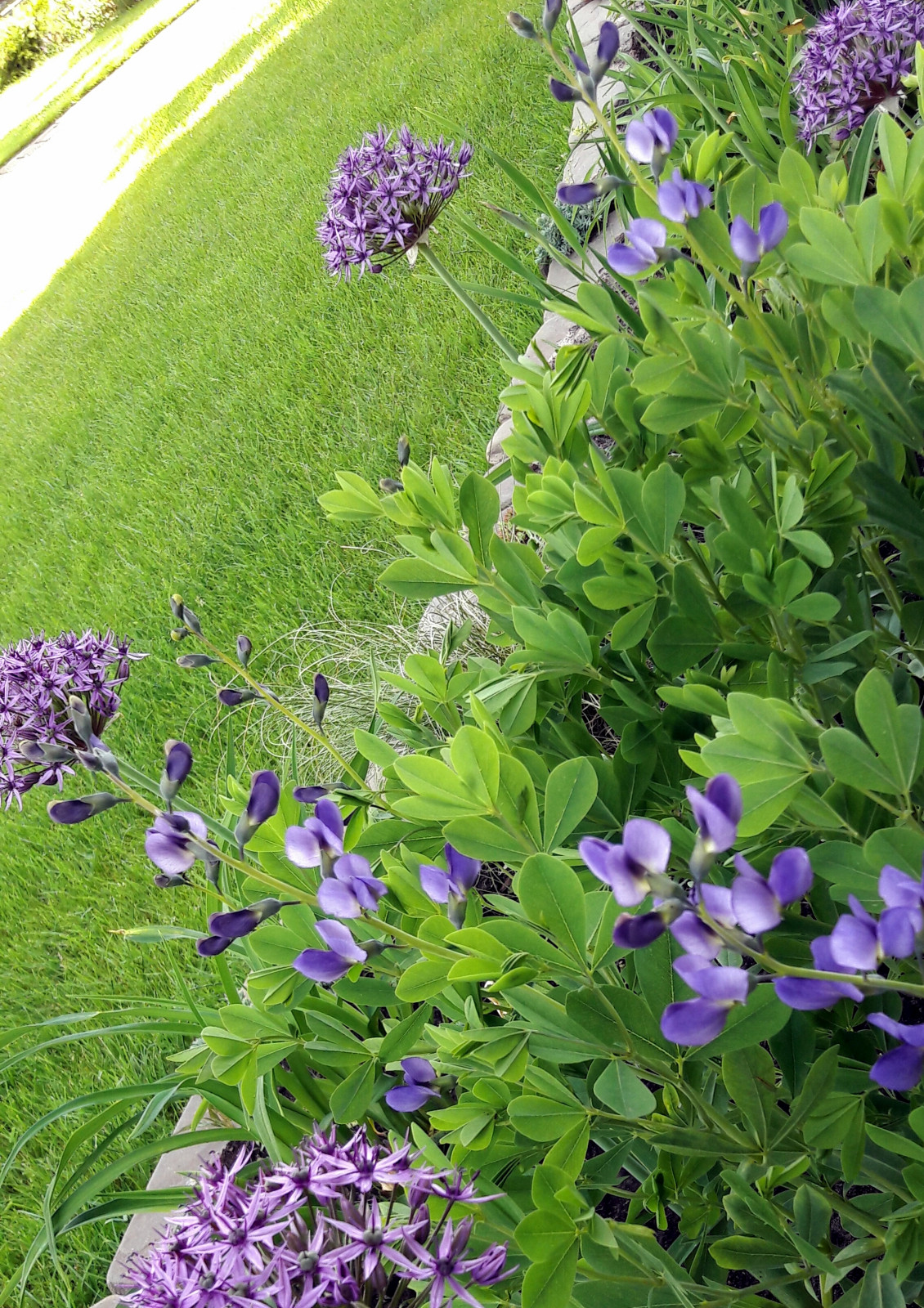 Обложка проекта: Цвет  2022 года   в реализованных   проектах