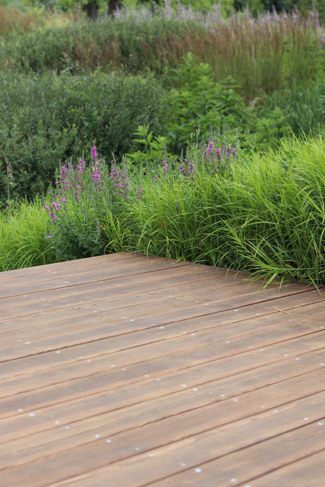 WB Берег пруда (май,июнь)