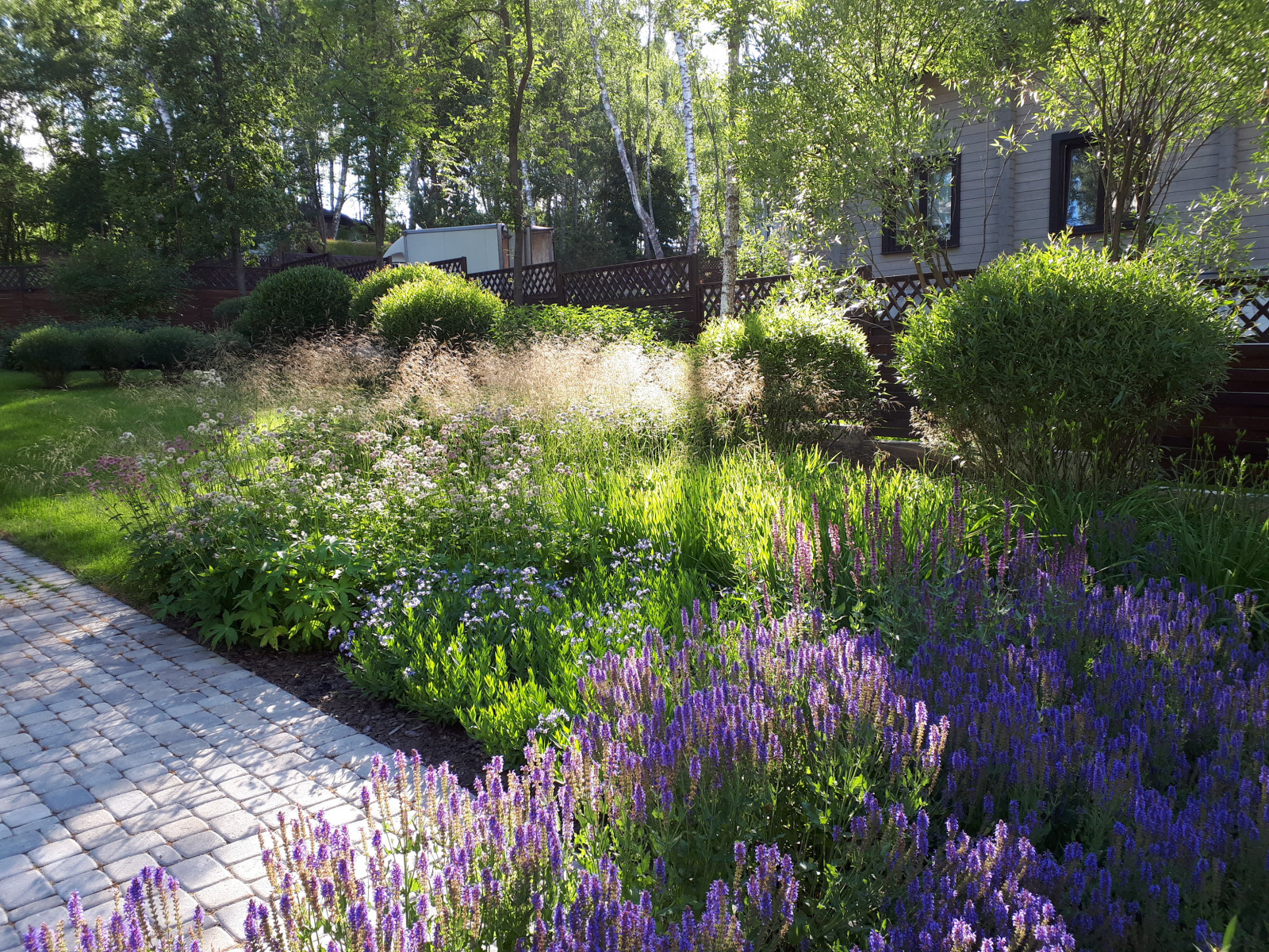 Проект "Волны". Дом у воды