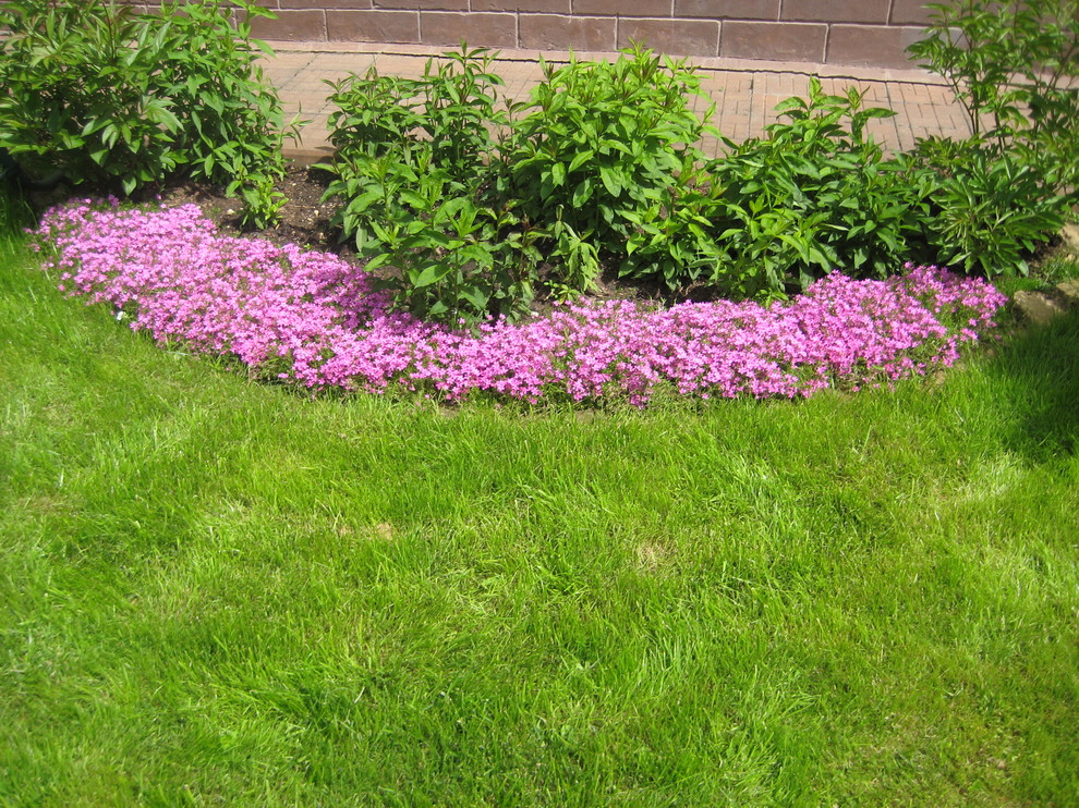 В гостях: Сад в идеальной форме... круга