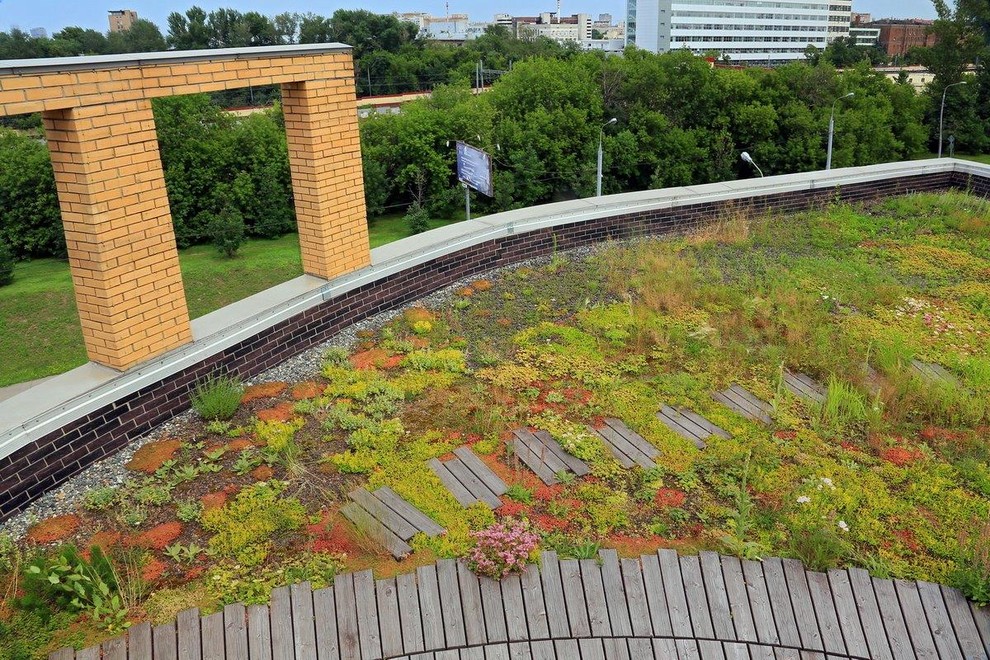 Сад на крыше