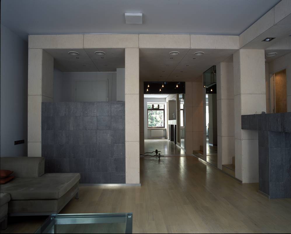 Plywood Apartment on Bronnaya street