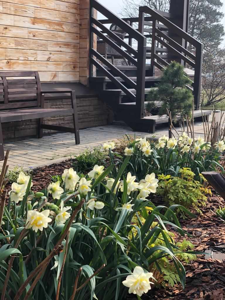 Медведково