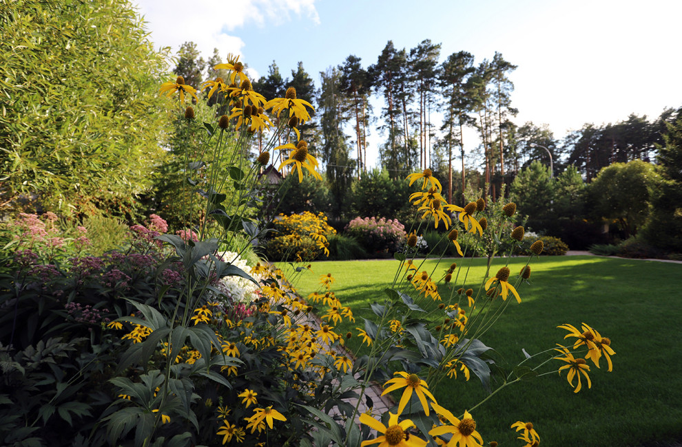 Коттеджный сад