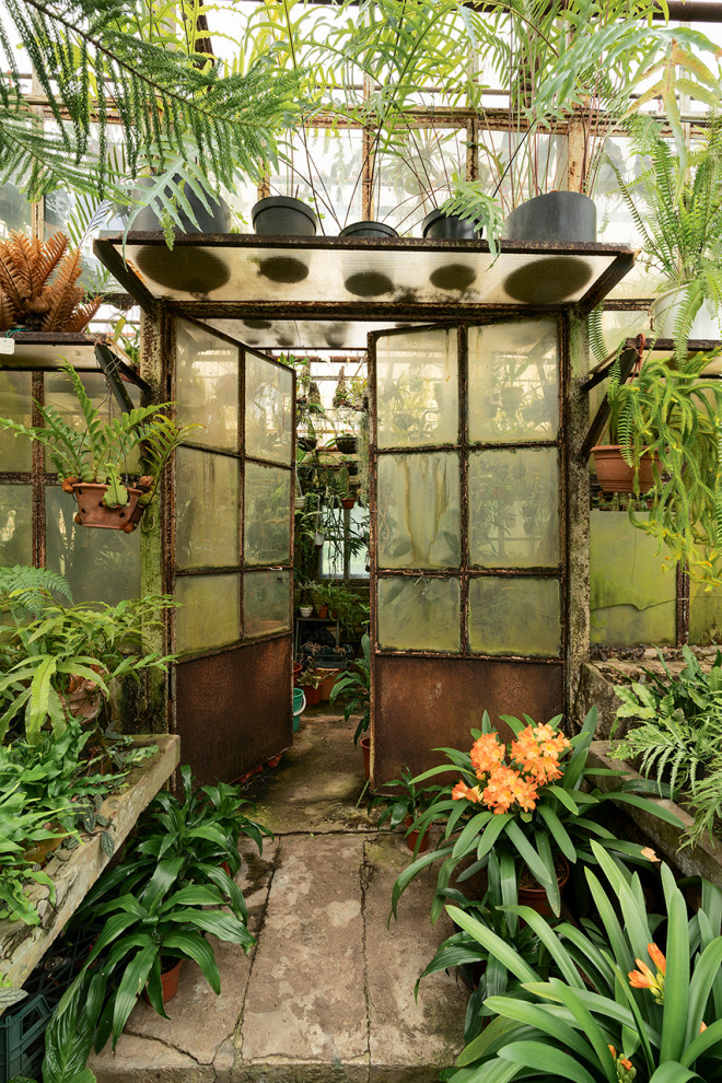 Ботанический сад в сердце Петербурга