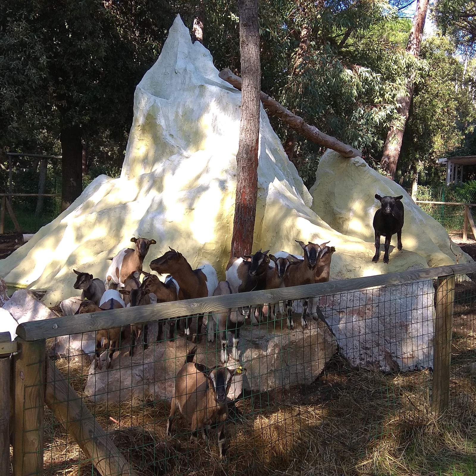 Архитектор Алексей Васильевич Васильев.