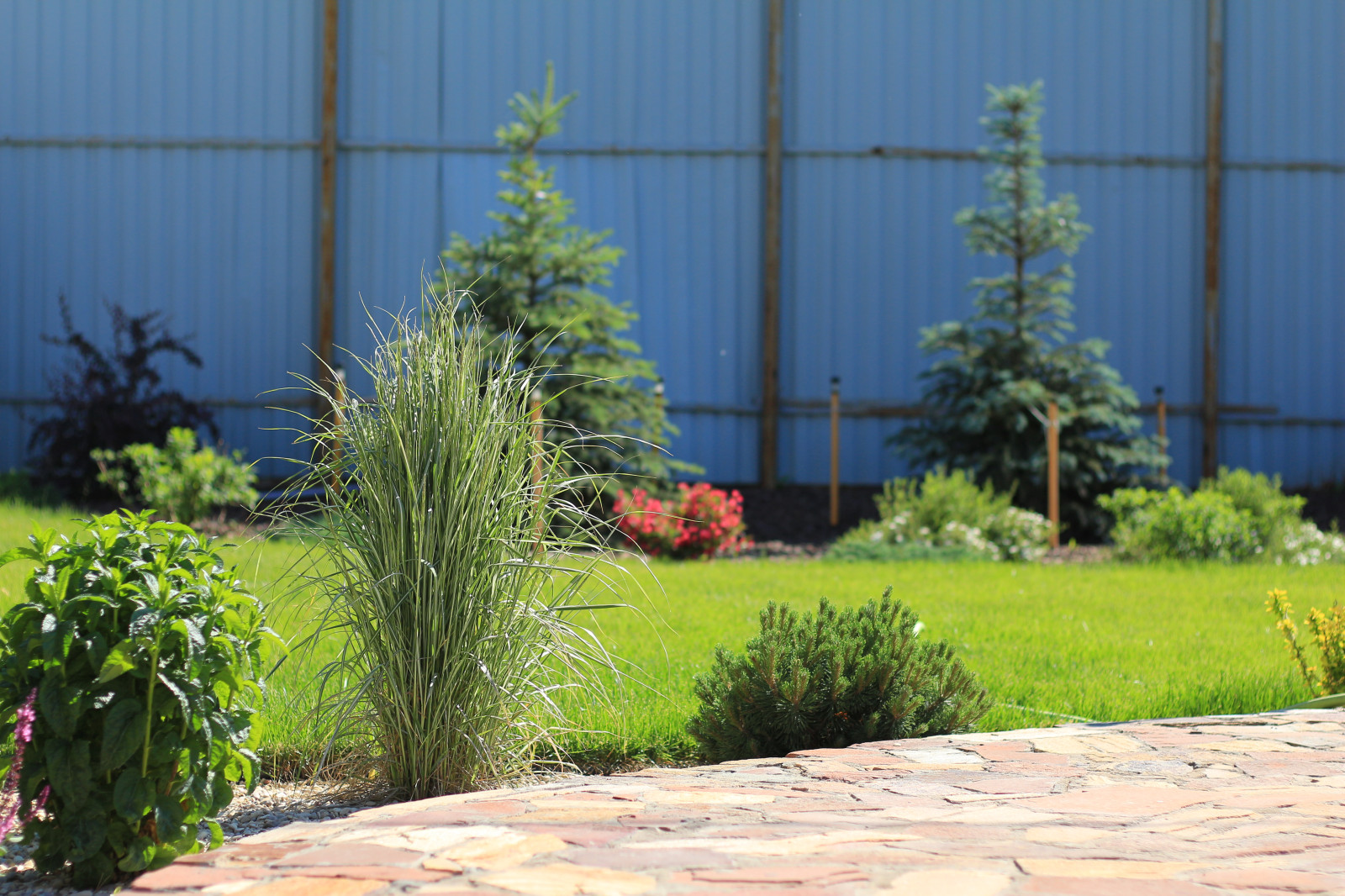 Сад для двоих