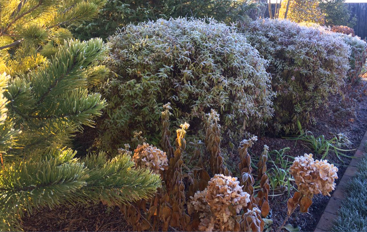 Счастливый сад