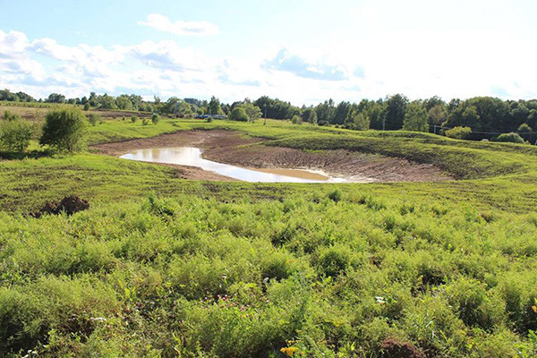 Портрет: Гостиница-теплица и архитектурные «чудеса» парка «Ясно Поле»