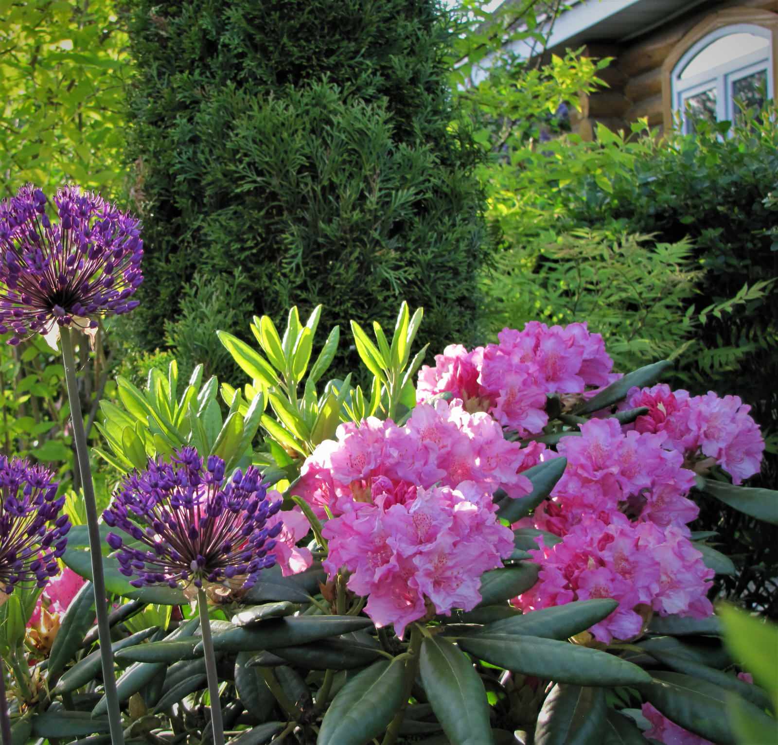 Преображение