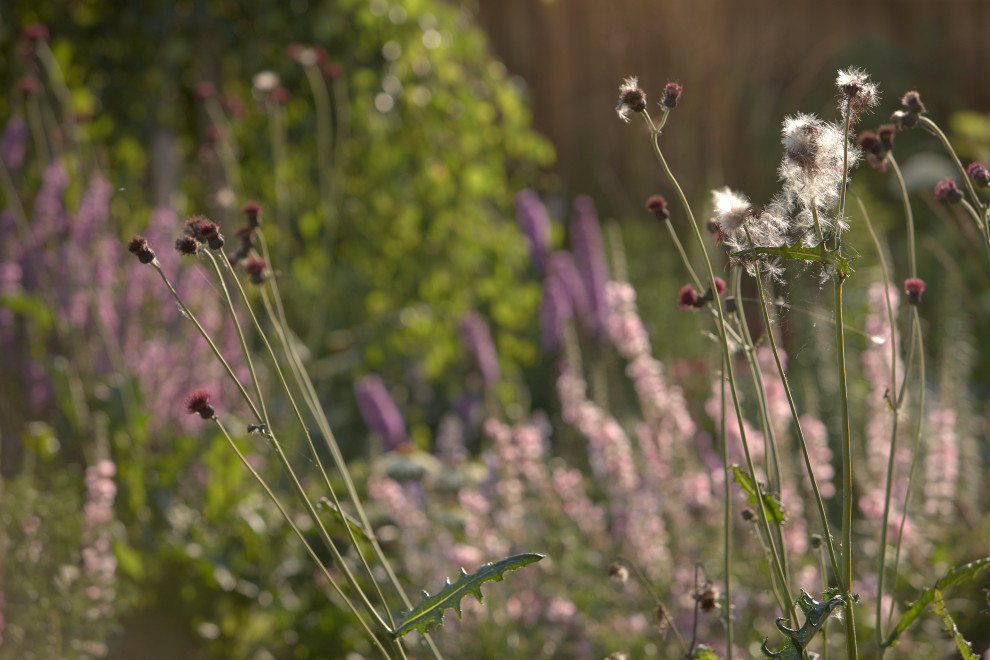 Отражение в каплях росы