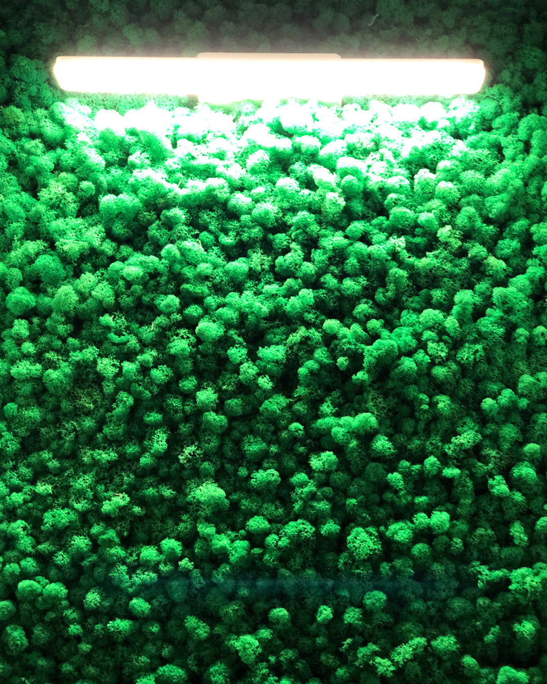 "ЭКО" | ЖК "ЗилАрт"