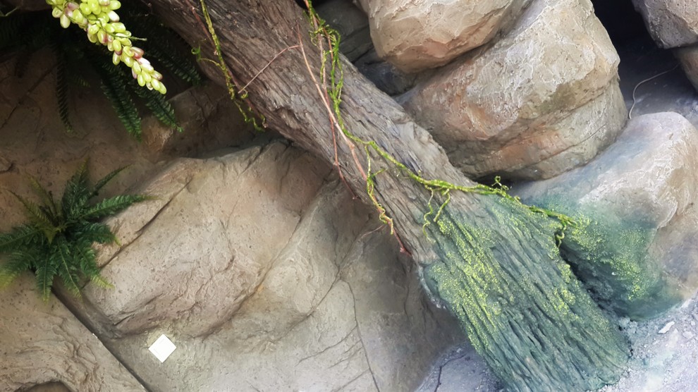 Искусственные скалы.