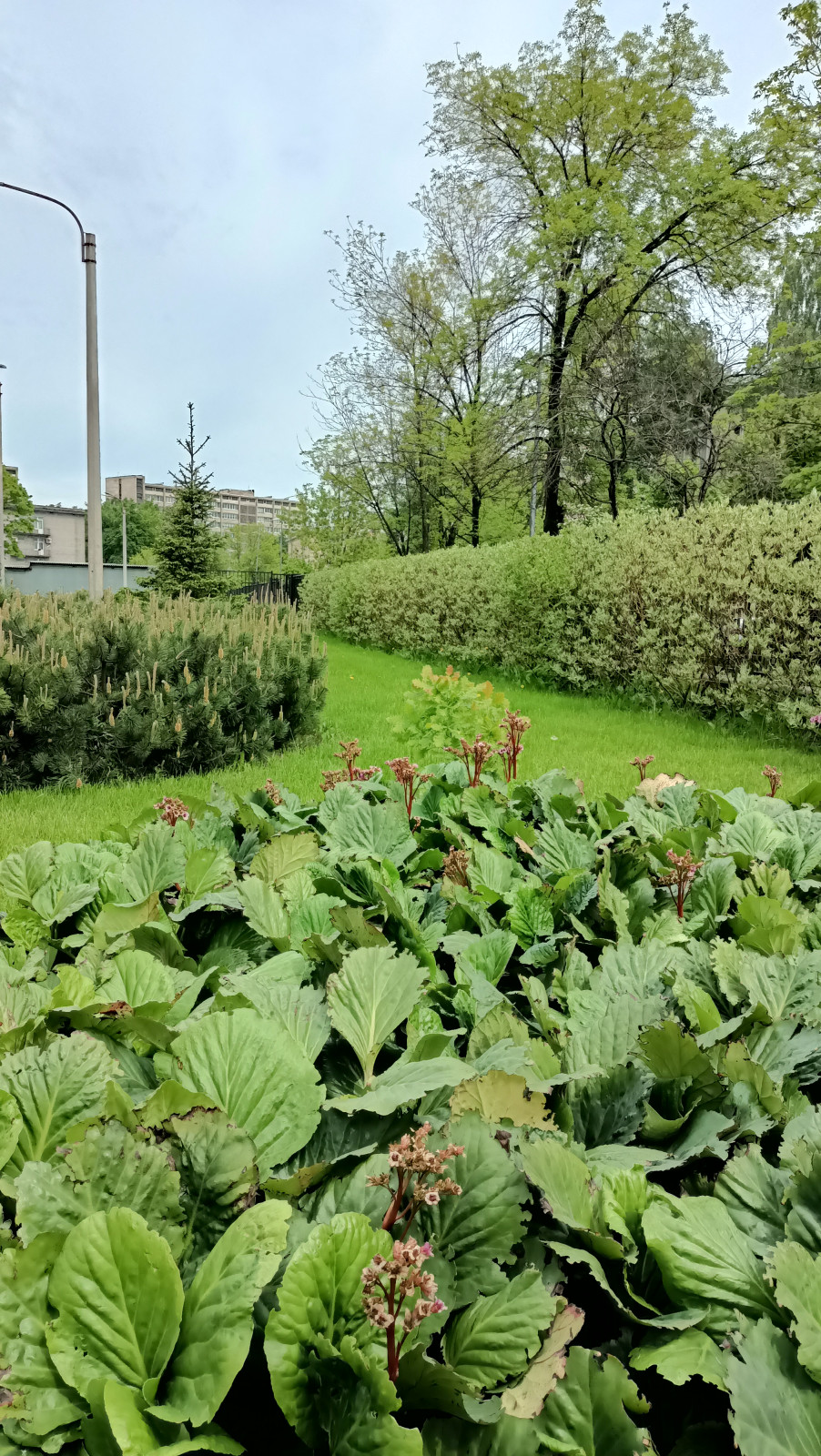 Городское озеленение .Территория производственного комплекса на Баррикадной