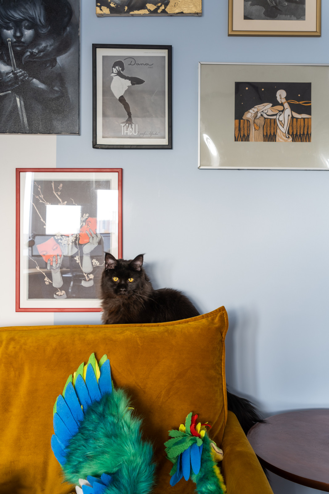 Азиатские Азерки