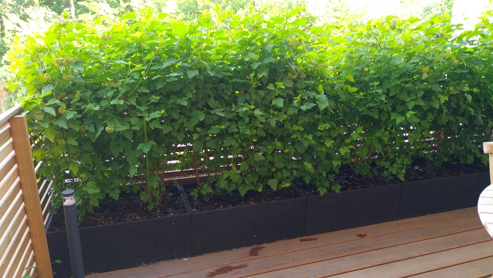 Обложка проекта: ЖК "Литератор"