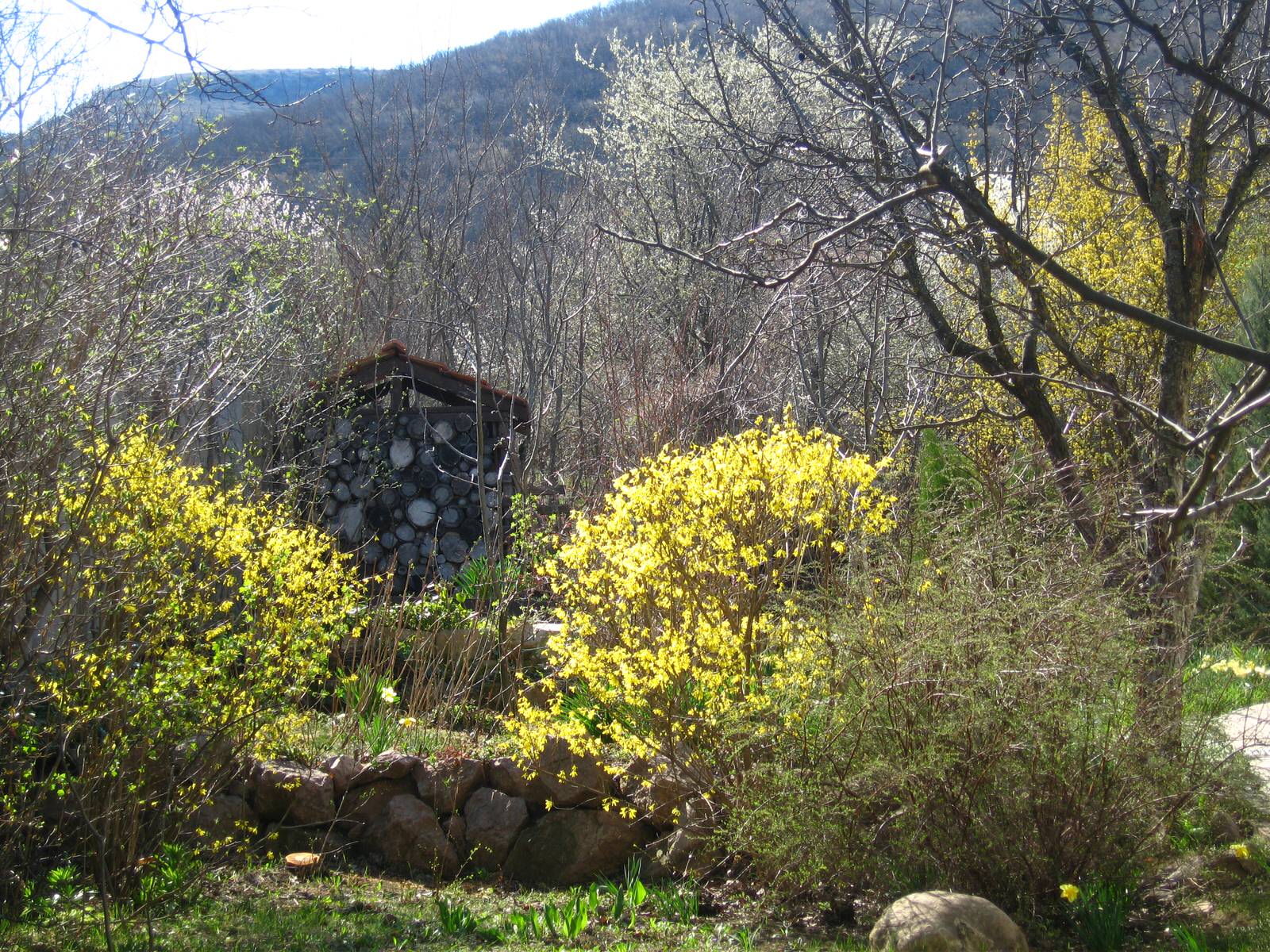 Они сошлись Восток и Запад