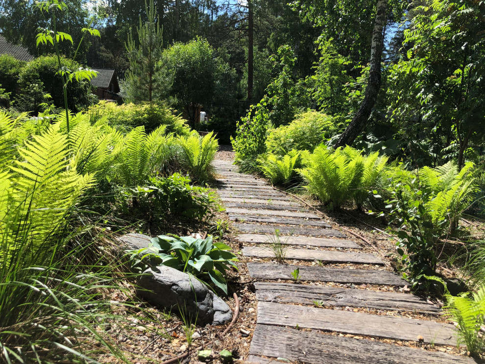 Усадьба на краю леса