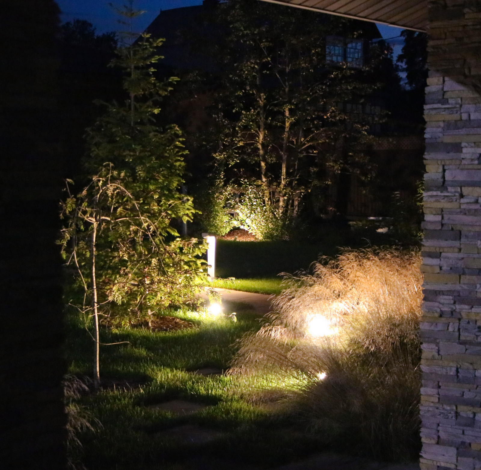 Петровское, ночной сад, 2018-2020 гг.